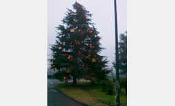 Albero di Natale con fiocchi e pacchi